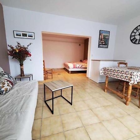 Studio Au Pied Du Chateau De Castelnaud Zewnętrze zdjęcie